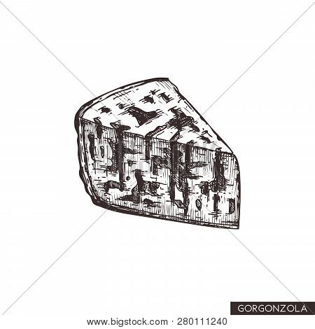 Vector Gorgonzola Sketches. Hand Drawn Italian Blue Cheese Illustration. Vintage Traditional Food Dr