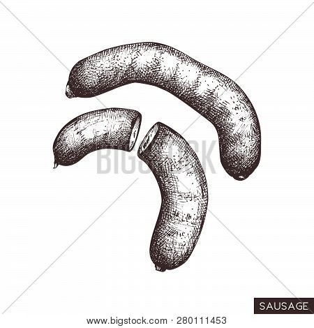 Vector Illustration Of Sausages. Engraved Style Food Drawing Isolated On White. Vintage Meat Product