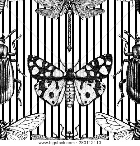 Seamless Pattern With High Detailed Insects Illustrations. Hand Drawn Sketches Of Bumblebee, Dragonf