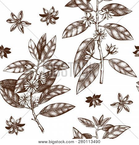 Anise_tree_pattern_2