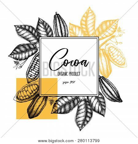 Cocoa Card 7
