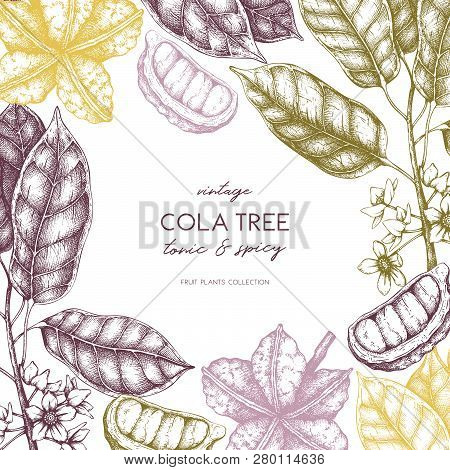 Cola_tree_design_1