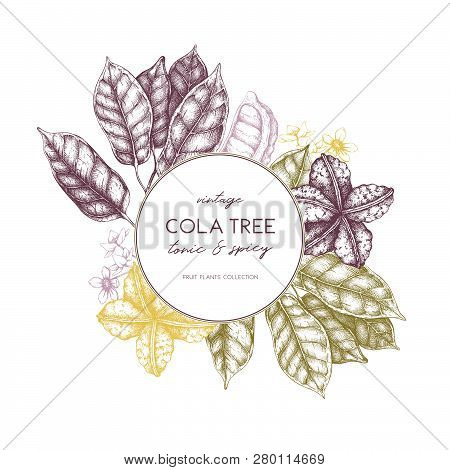 Cola_tree_design_3