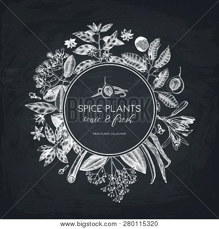 Spice_plants_card_7
