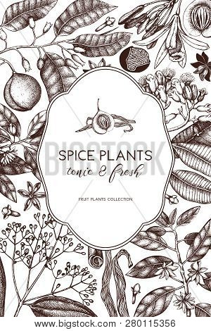 Spice_plants_card_9