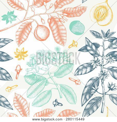 Spice_plants_pattern_1