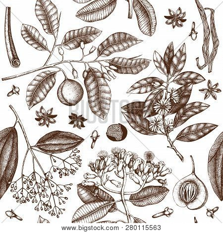 Spice_plants_pattern_6
