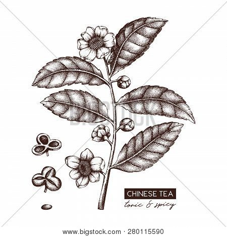 Chinese Tea_1