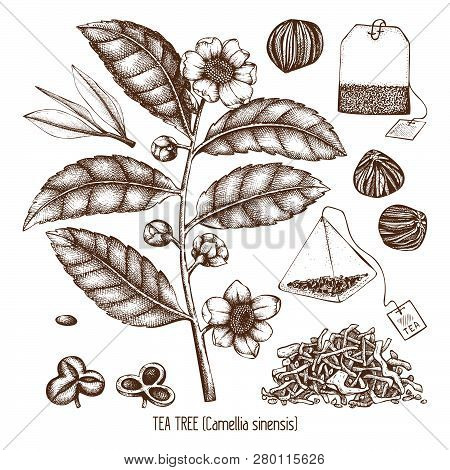 Chinese Tea_3