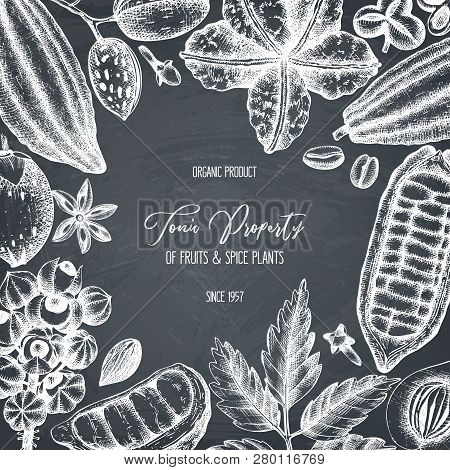 Tonic_plants_card_10_1