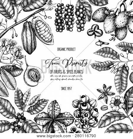 Tonic_plants_card_2