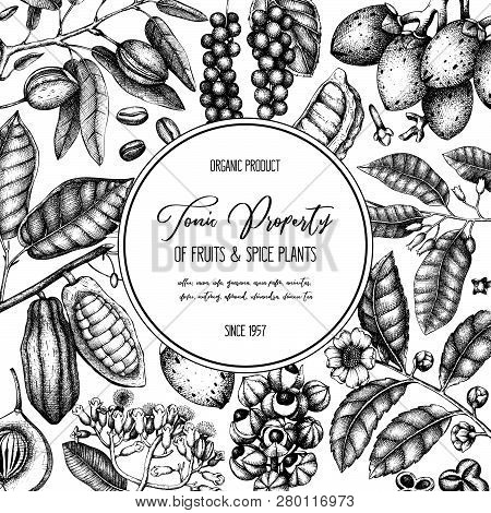 Tonic_plants_card_9_1