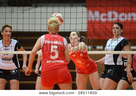 KAPOSVAR, 헝가리-11 월 25 일: Zsofia Horvath (레드 5) 헝가리 선수권 voll에서 행동
