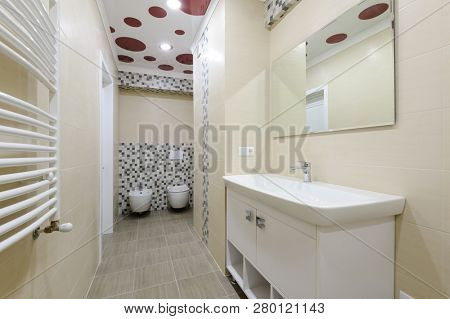 Modern bathroom interior, locker with mirro, toilet and bidet together
