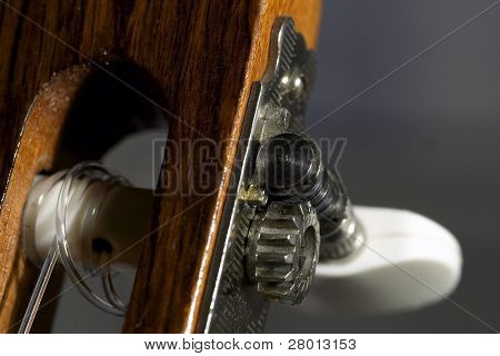 Close-up klassisk Guitar