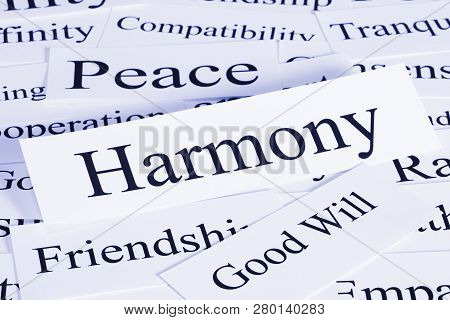 A Conceptual Look At Harmony, Peace, Friendship, Good Will Compatibility