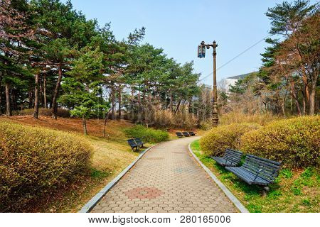 Path walk with benches in Yeouido Park public park in Seoul, Korea