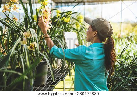 Asian Woman Travel Relax Orchid Education Write Notes In The Orchid Garden,background Orchid..