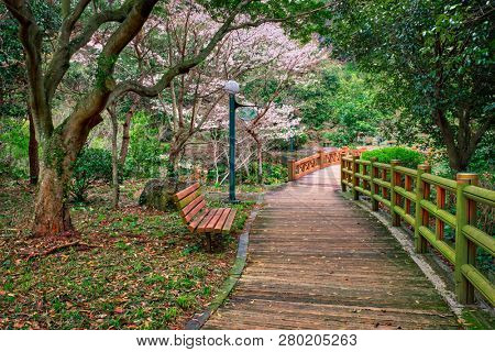 Jeju Olle Trail long-distance footpath on Jeju Island, South Korea