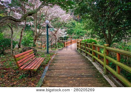 Jeju Olle Trail long-distance footpath on Jeju Island, South Korea