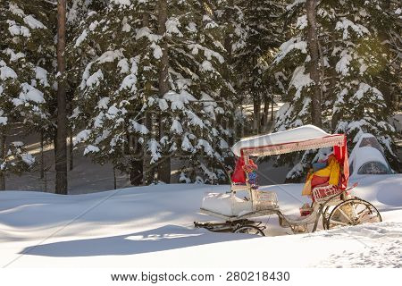 Abant / Bolu / Turkey, Winter Snow Landscape. Travel Concept Photo.