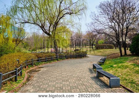 Path walk with benches in Yeouido Park public park in Seoul, Korea