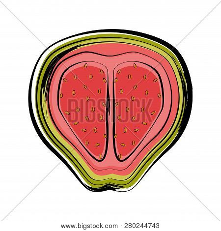 Isolated Sketch Of A Cut Guayaba Image. Vector Illustration Design