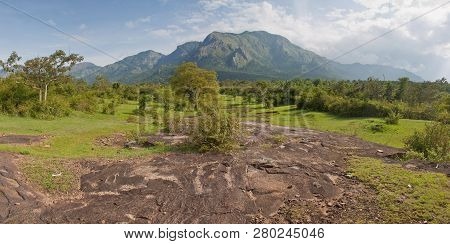 Panorama Of A Landscape In Mudumalai National Park, India