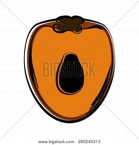 Isolated Sketch Of A Cut Chontaduro Image. Vector Illustration Design