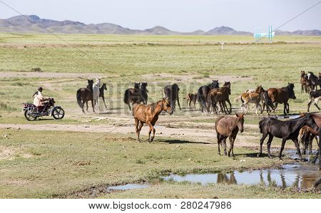 Issy Kul,  Kazakastan - June 1, 2017 - Rancher Rounds Up Horses While Riding A Motocycle
