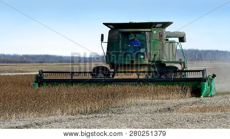 Grygla, Mn - 02 Nov 2018: John Deere Combine Harvesting Field Of Soybeans For Food And Other Product