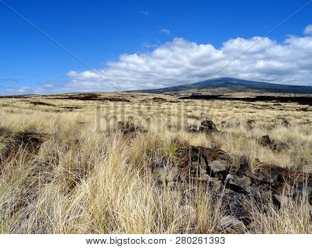 Beautiful View From A Lava Field On The Mt. Hualalai In Big Island, Hawaii