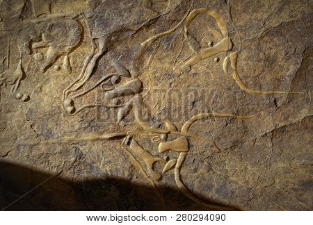 Tamanrasset , Algeria - Africa