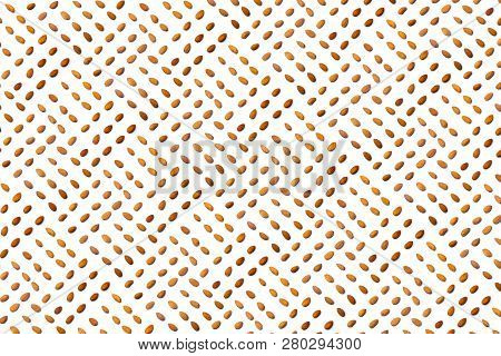 A Collection Of   Apricot Stone   Lie In Straight Rows Along Dioganals On An Isolated White Backgrou