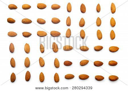 A Collection Of  Apricot Stone Lie In Horizontal Rows On An Isolated White Background. With Clipping