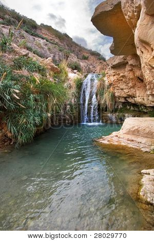  En falder og river i reserve ved det døde hav i Israel