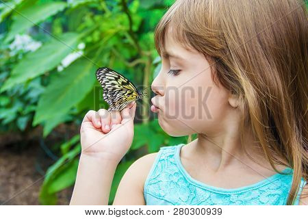 Child With A Butterfly. Idea Leuconoe. Selective Focus.