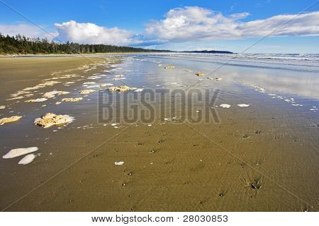 Breda sandstranden och havet skum på sand under utflöde