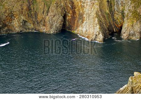 The Slieve League Cliffs In The West Of The Irish County Donegal On The Atlantic Ocean Are With 601 
