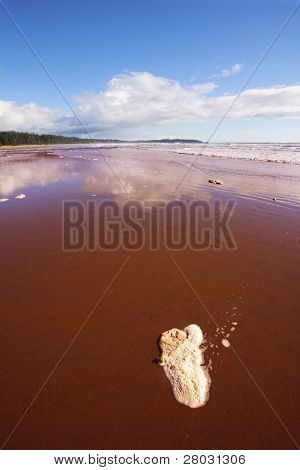 Breda sandstranden och havet skum på sand under utflöde