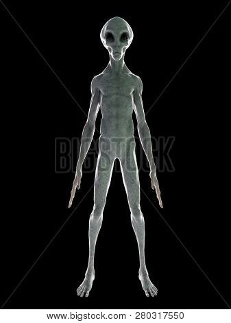 3d rendered illustration of a standing grey alien