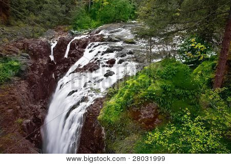 Cascata pitoresca cai Ilha Vancouver - Inglês River Falls