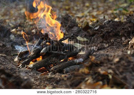 Bonfire In Forest , Autumn Photo, Fallen Leaves