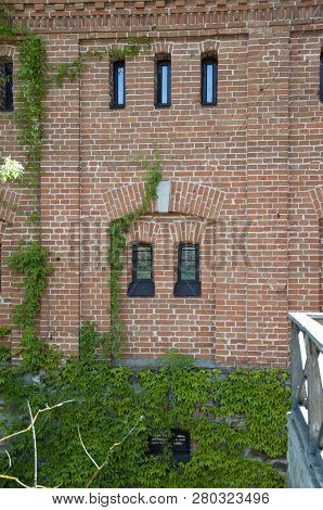 A Natural Cover Up. Old House Exterior With Creeper Or Climber. Vines Growing On Stone Wall In Summe