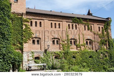 Adding Old World Appeal. Vines Growing On Stone Wall In Summer. Old House Exterior With Green Climbe