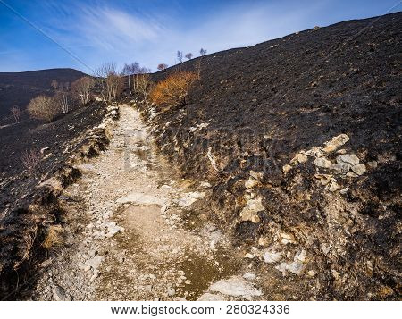 Burnt Slopes Of Monte Bolettone, Lombardy, Italy