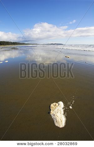 Breda sandstranden och havet skum på sand under utflöde