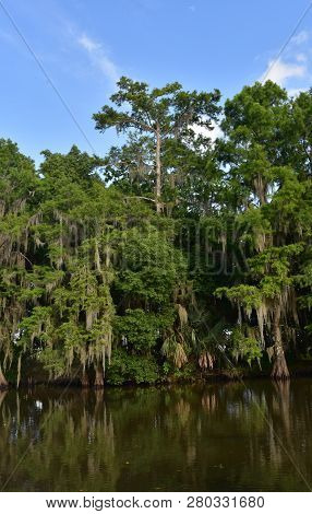 Shallow Waters And Riverways In The Bayou Of Southern Louisiana.