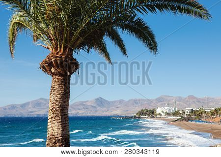 Puerto Del Carmen Beach In Lanzarote, Canary Islands, Spain. Blue Sea, Palm Trees, Selective Focus