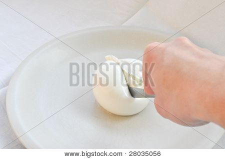 Mozzarella peyniri